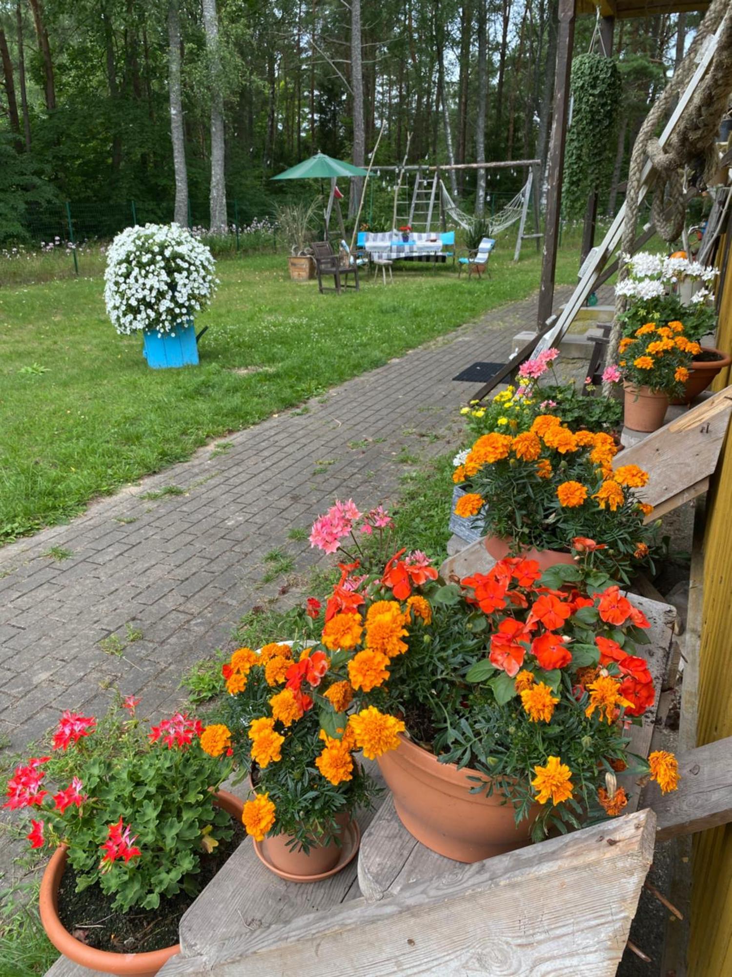 Torgu Royal Guesthouse Iide Kültér fotó