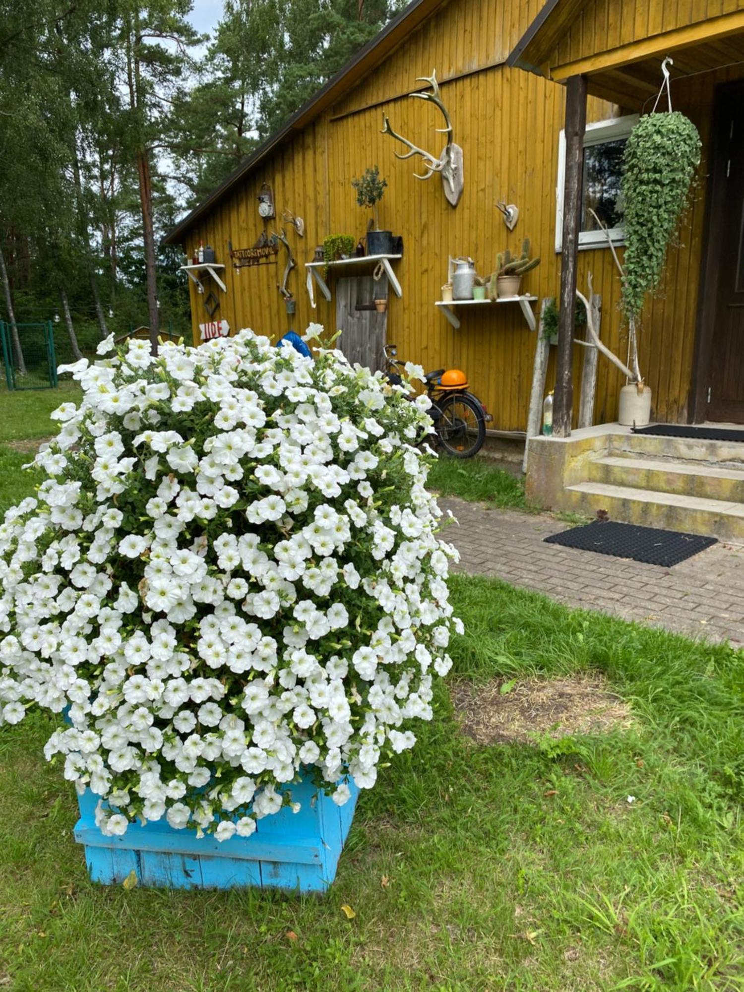 Torgu Royal Guesthouse Iide Kültér fotó